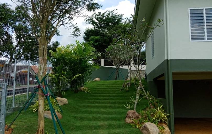 grass stairs