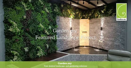 Indoor Plant Feature Wall with Water Feature