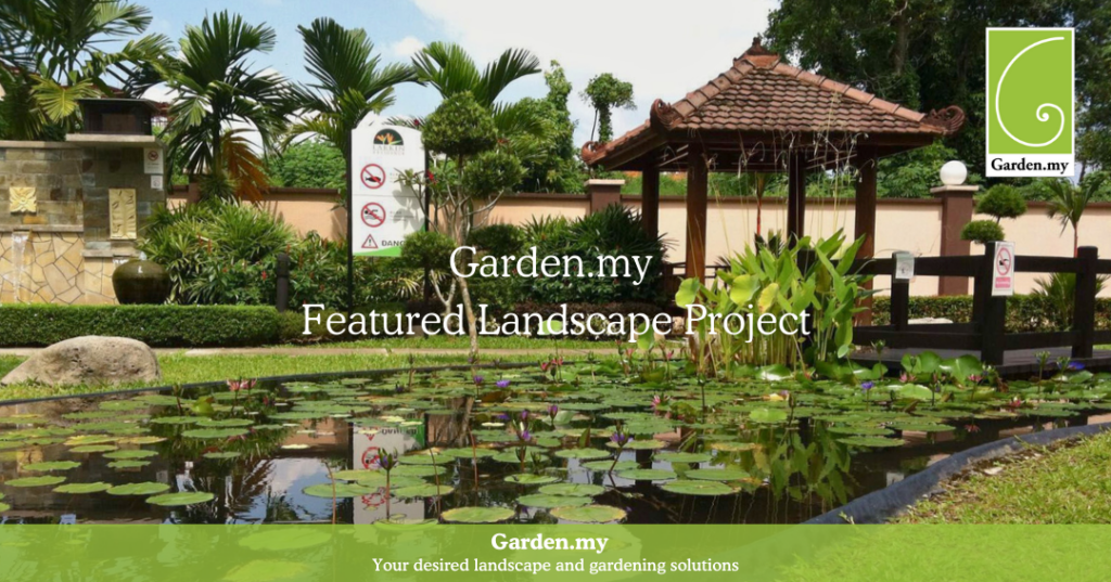 Lotus pond garden